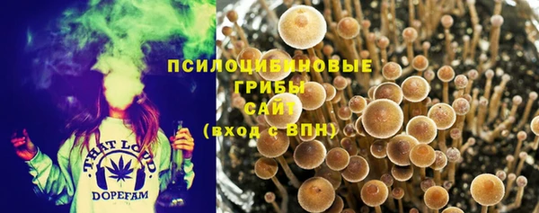 a pvp Покровск